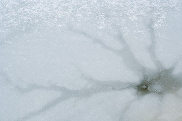 Image showing ice-bound water surface