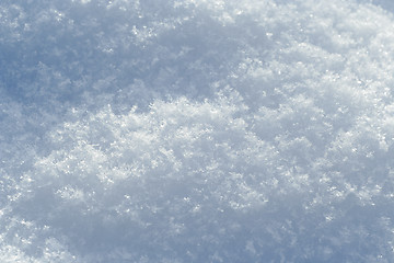 Image showing snow surface