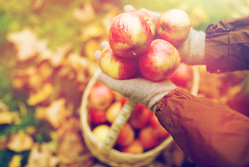 Image showing woman with basket of apples at autumn garden