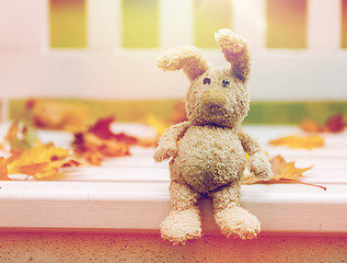 Image showing toy rabbit on bench in autumn park