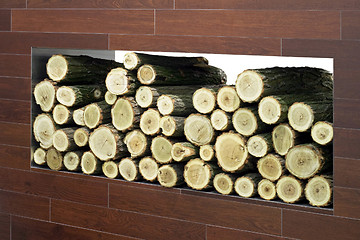 Image showing Firewood log