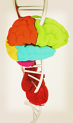 Image showing DNA, brain and heart. 3d illustration. Vintage style.