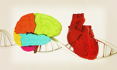 Image showing DNA, brain and heart. 3d illustration. Vintage style.