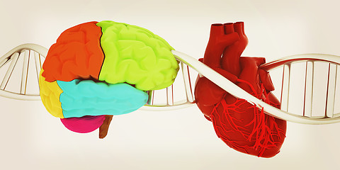 Image showing DNA, brain and heart. 3d illustration. Vintage style.