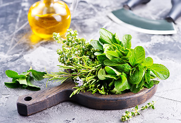 Image showing fresh herb