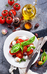 Image showing caprese