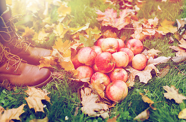 Image showing woman feet in boots with apples and autumn leaves