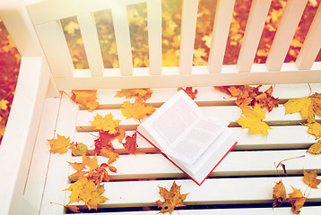 Image showing open book on bench in autumn park