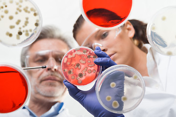 Image showing Life scientists researching in the health care laboratory.