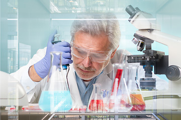 Image showing Senior life science research researching in modern scientific laboratory.