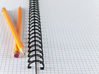 Image showing sheet in a cage with two pencils