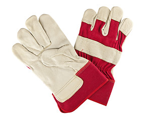 Image showing work gloves