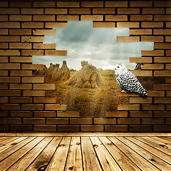 Image showing Nature in broken wall