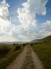 Image showing summer landscape