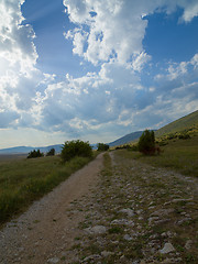 Image showing summer landscape