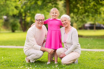 Image showing senior grandparents and granddaughter at park