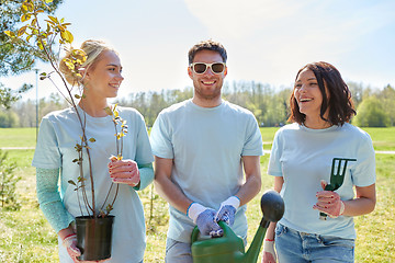 Image showing group of volunteers with tree seedlings in park