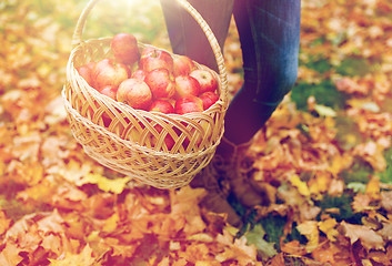 Image showing woman with basket of apples at autumn garden