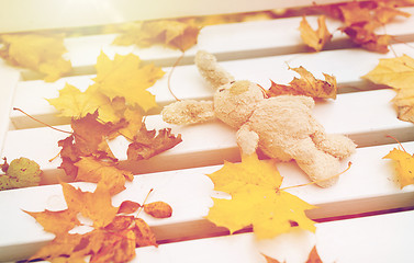 Image showing toy rabbit on bench in autumn park