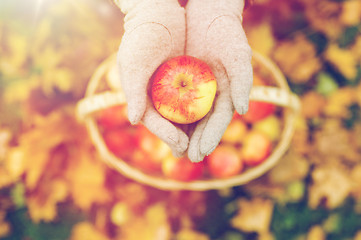 Image showing woman with basket of apples at autumn garden