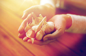 Image showing woman hands holding garlic