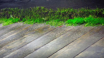 Image showing Old Wooden Floor With Moss