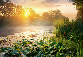 Image showing River at sunrise