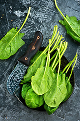 Image showing fresh spinach