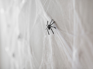 Image showing halloween decoration of black toy spiders on web