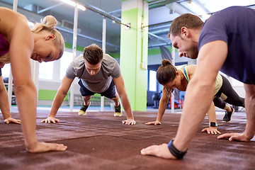 Image showing group of people doing straight arm plank in gym