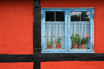 Image showing Window with flowers