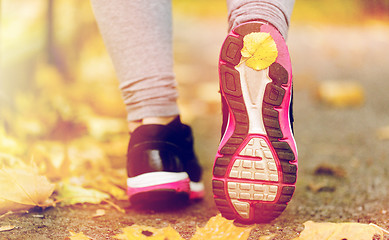 Image showing close up of woman feet wearing sneakers in autumn