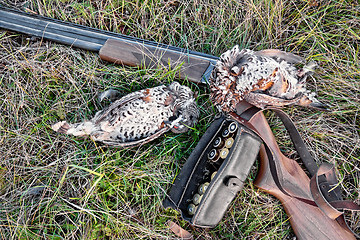 Image showing Grouse and rifle on grass