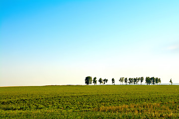 Image showing Landscape with trees and sky