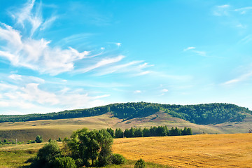 Image showing Landscape with hills and bread field