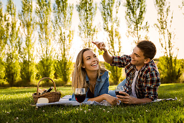 Image showing Just us and a Picnic