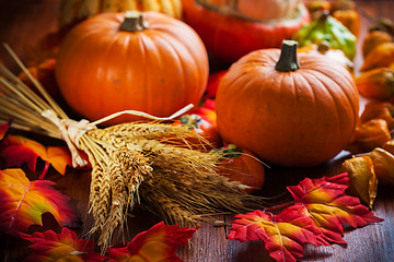 Image showing Pumpkin still life for Thanksgiving 