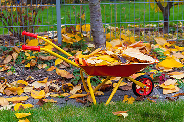 Image showing Autumn leaves in garden