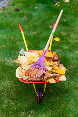 Image showing Autumn leaves in garden