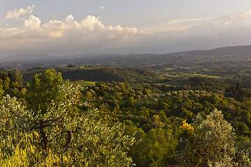 Image showing Evening landscape. Tuscany, Italy