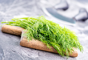 Image showing fresh dill