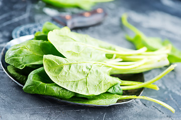 Image showing fresh spinach