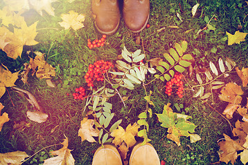 Image showing feet in boots with rowanberries and autumn leaves