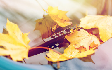 Image showing close up of car wiper with autumn leaves