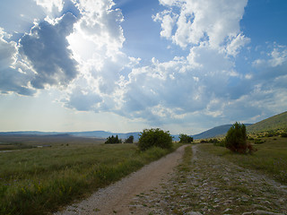 Image showing summer landscape