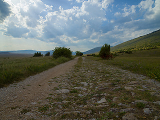 Image showing summer landscape