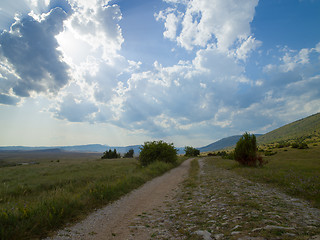 Image showing summer landscape