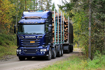 Image showing Blue Scania R730 Logging Truck on Autumn Forest Road