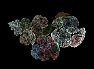 Image showing Surreal fractal flowers