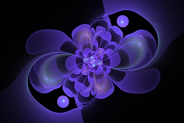 Image showing Beautiful abstract fractal flower